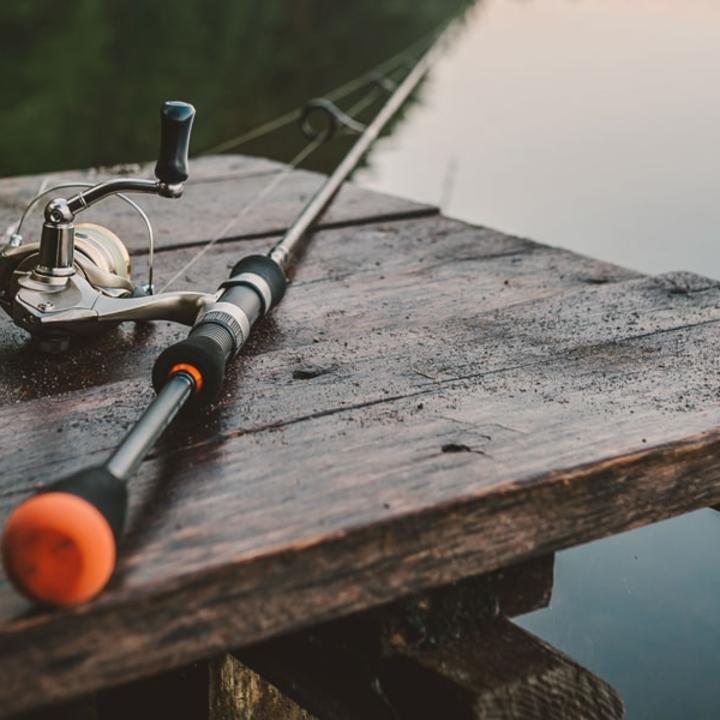 A fishing pole.