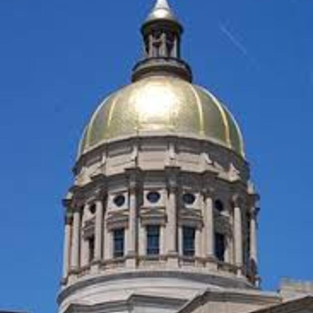 members of the georgia senate and house of representatives serve